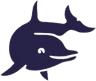 Delfinausflug